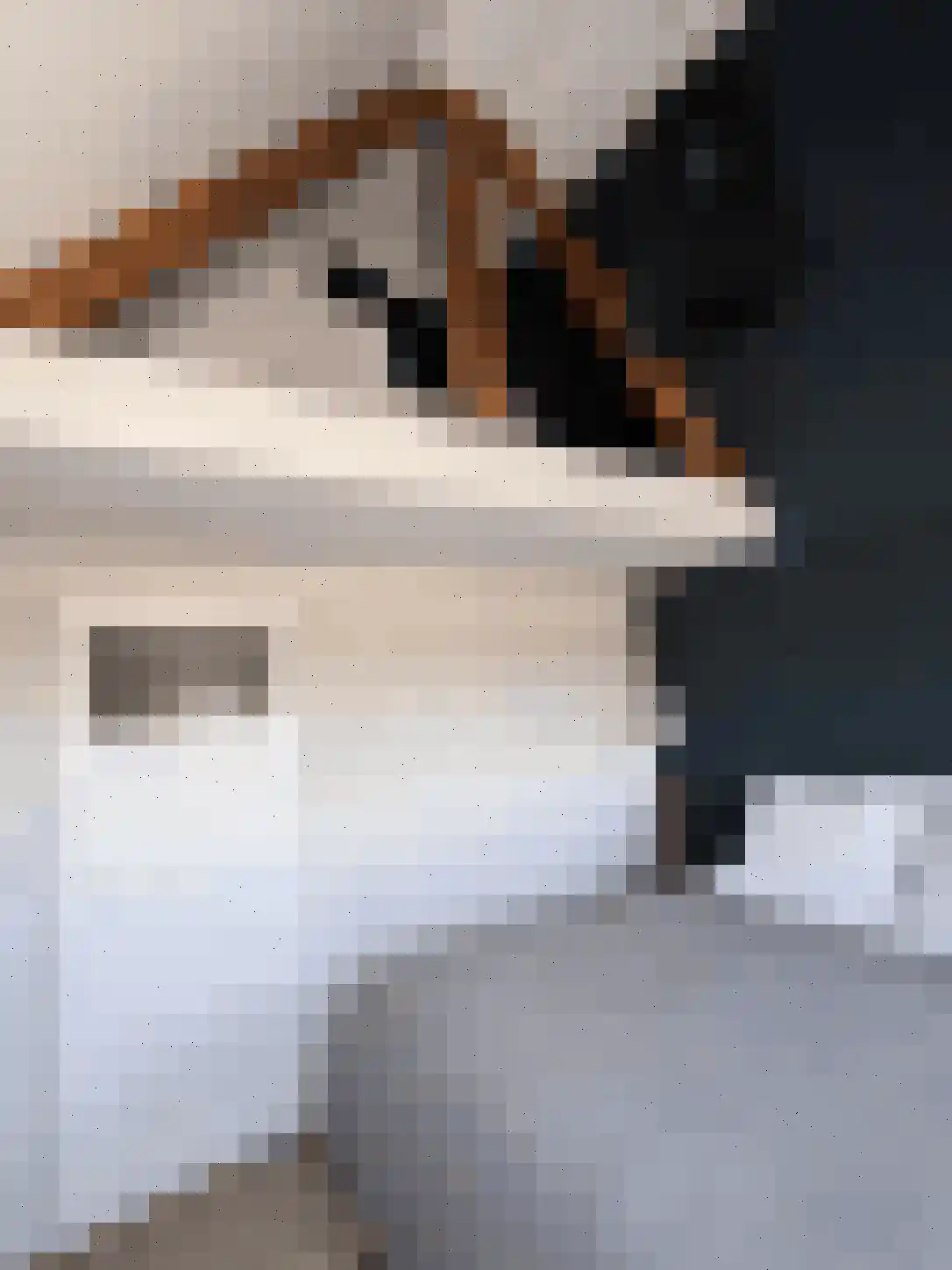 Nieuwvlietseweg 41 Nieuwvliet thumbnail 29