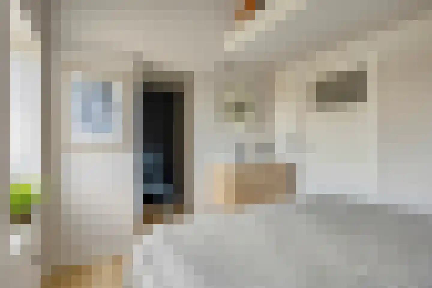 Nieuwvlietseweg 41 Nieuwvliet thumbnail 30