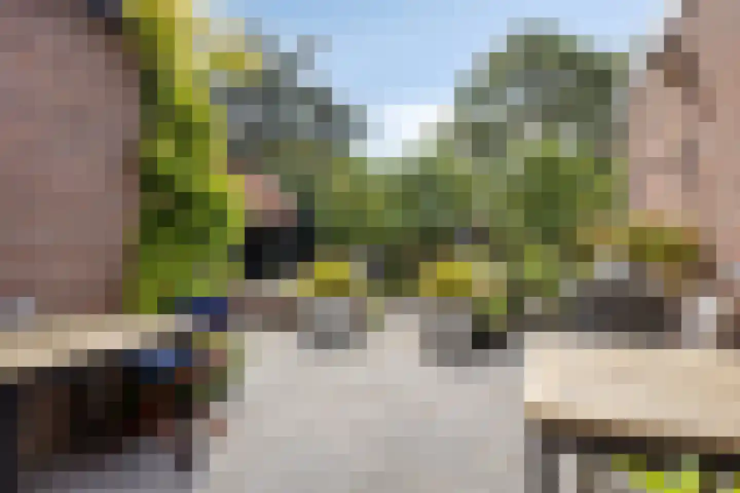Nieuwvlietseweg 41 Nieuwvliet thumbnail 35