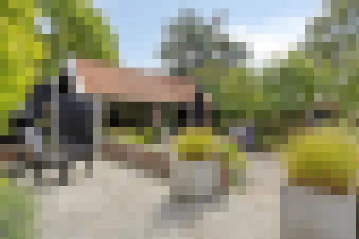 Nieuwvlietseweg 41 Nieuwvliet thumbnail 37