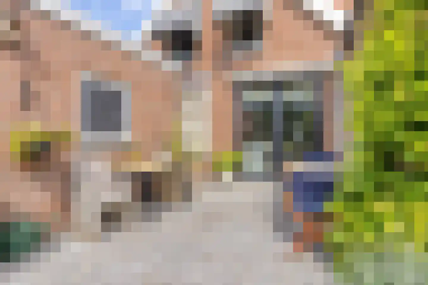 Nieuwvlietseweg 41 Nieuwvliet thumbnail 38