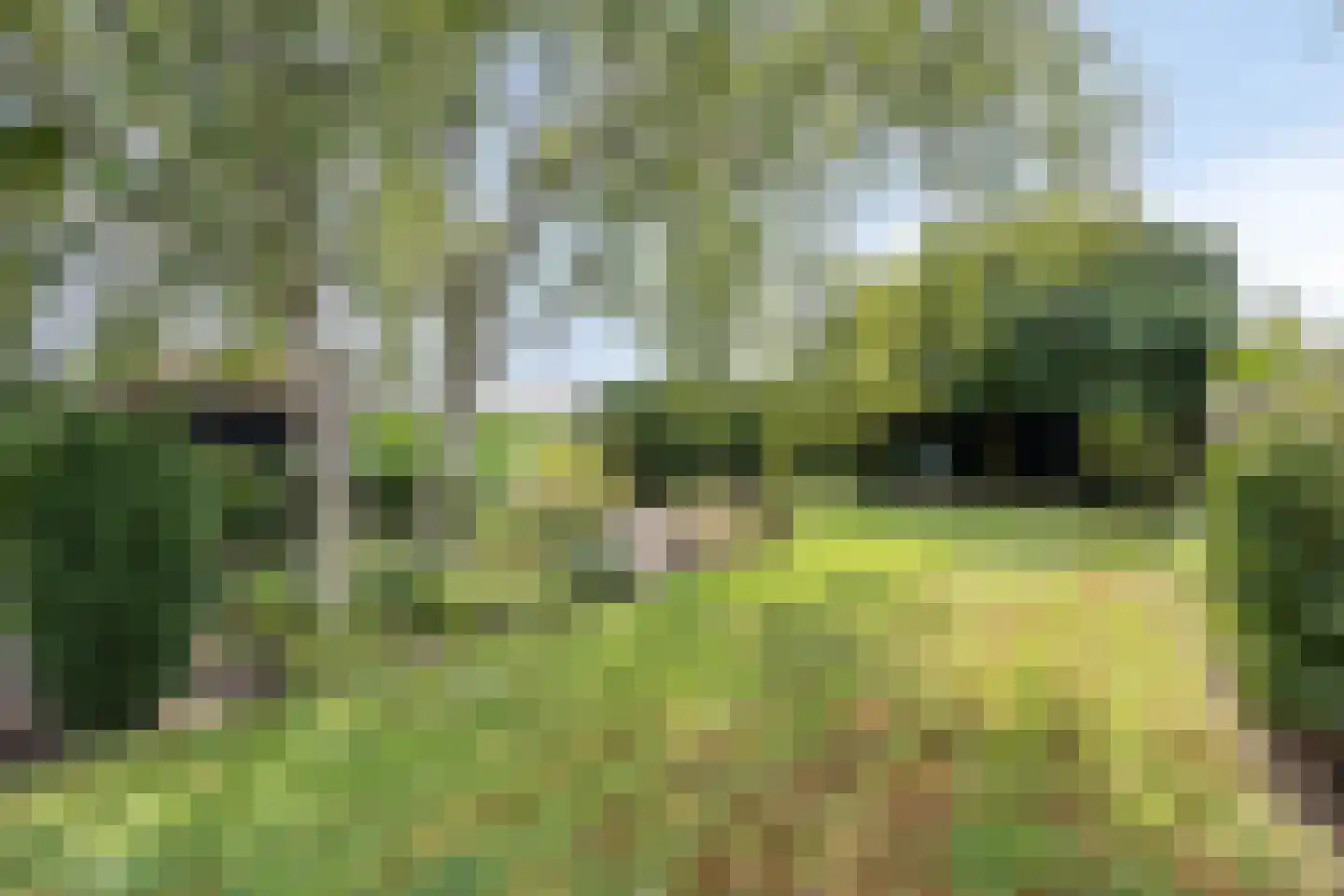 Nieuwvlietseweg 41 Nieuwvliet thumbnail 43
