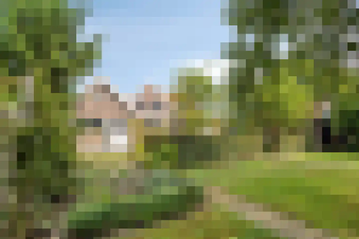 Nieuwvlietseweg 41 Nieuwvliet thumbnail 44