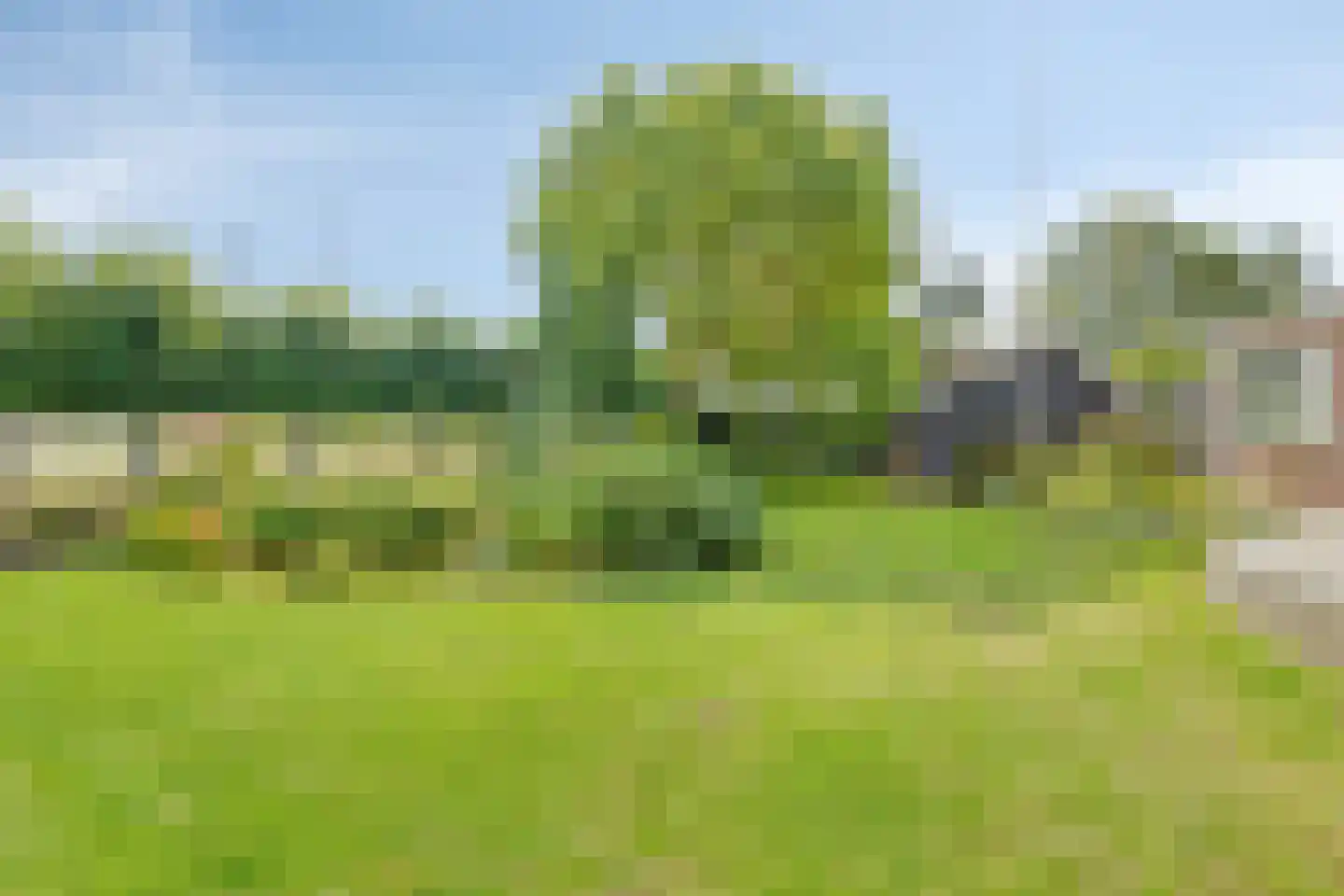 Nieuwvlietseweg 41 Nieuwvliet thumbnail 46