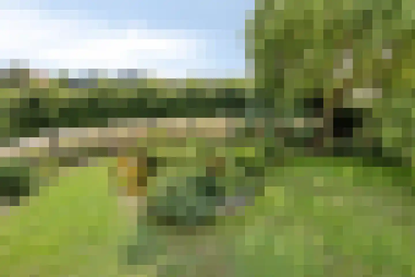 Nieuwvlietseweg 41 Nieuwvliet thumbnail 47