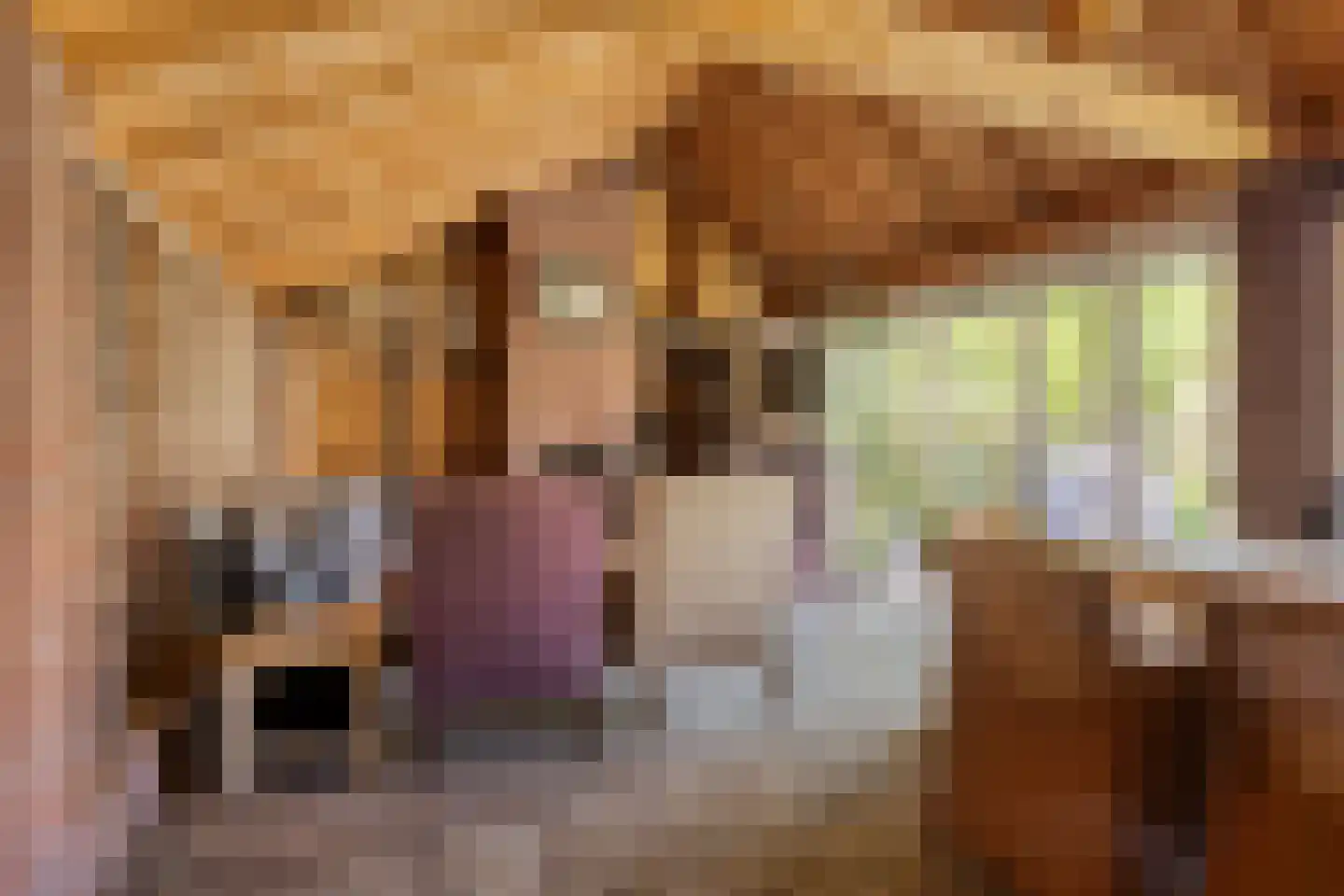 Nieuwvlietseweg 41 Nieuwvliet thumbnail 49