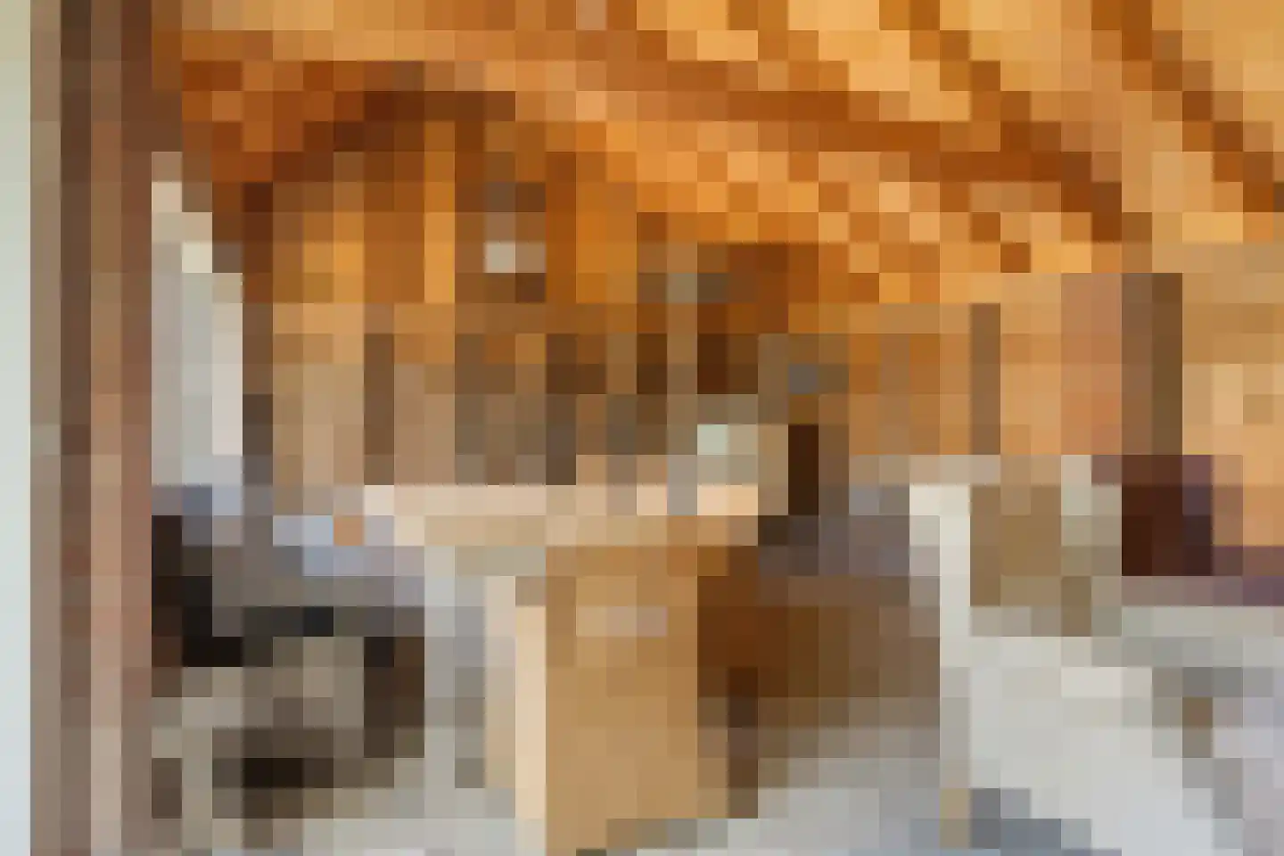 Nieuwvlietseweg 41 Nieuwvliet thumbnail 50