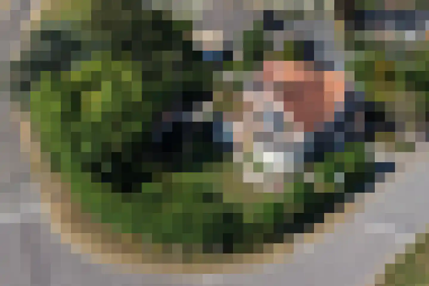 Nieuwvlietseweg 41 Nieuwvliet thumbnail 55