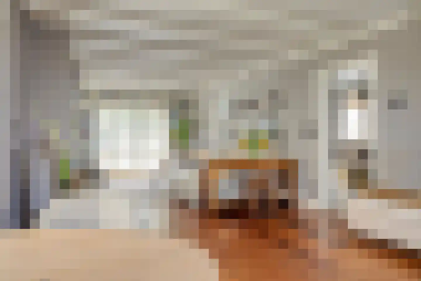 Nieuwvlietseweg 41 Nieuwvliet thumbnail 7