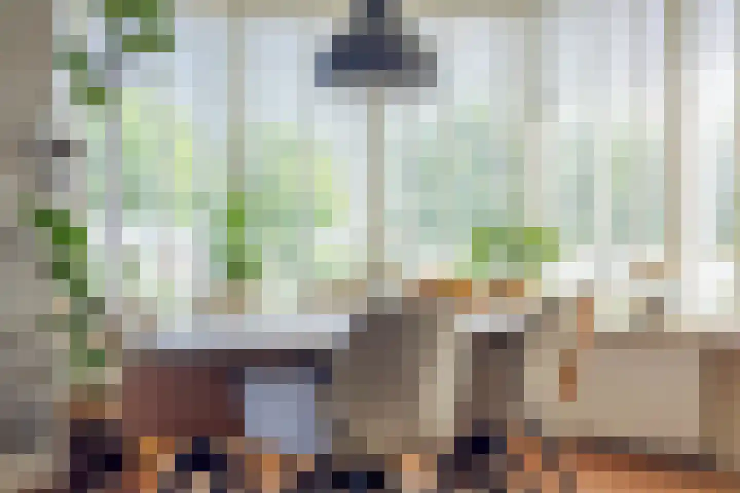Nieuwvlietseweg 41 Nieuwvliet thumbnail 9