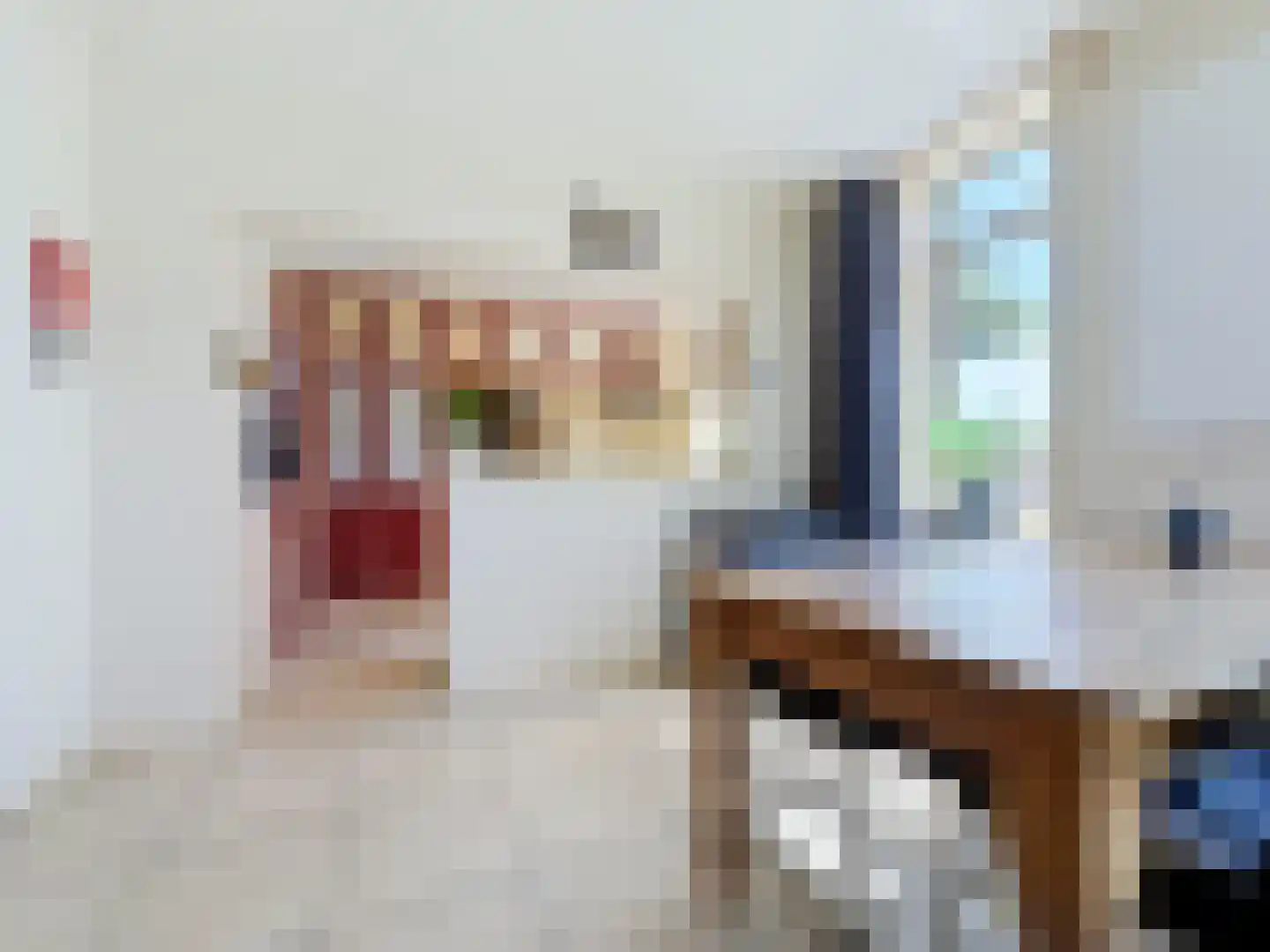 Nieuwvlietseweg 47 Nieuwvliet thumbnail 12