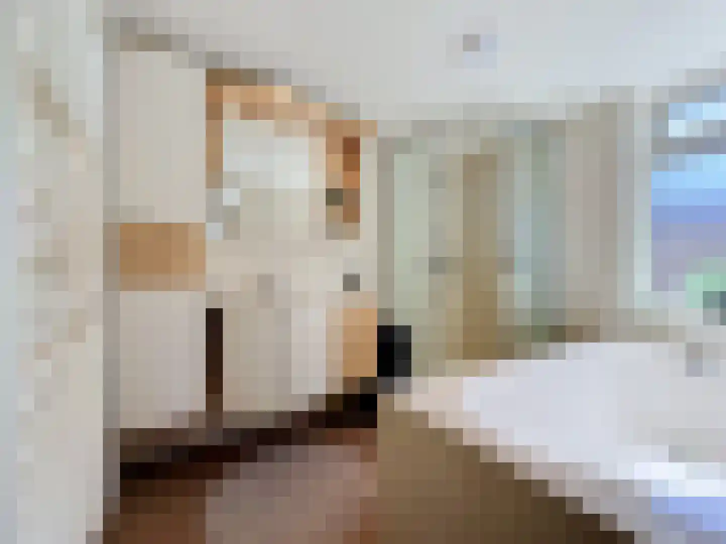 Nieuwvlietseweg 47 Nieuwvliet thumbnail 13