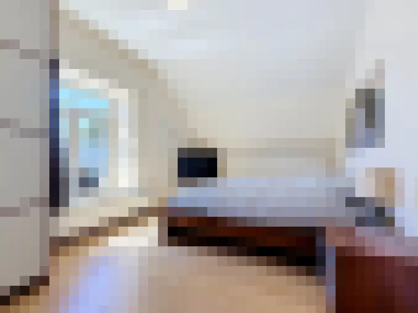Nieuwvlietseweg 47 Nieuwvliet thumbnail 16