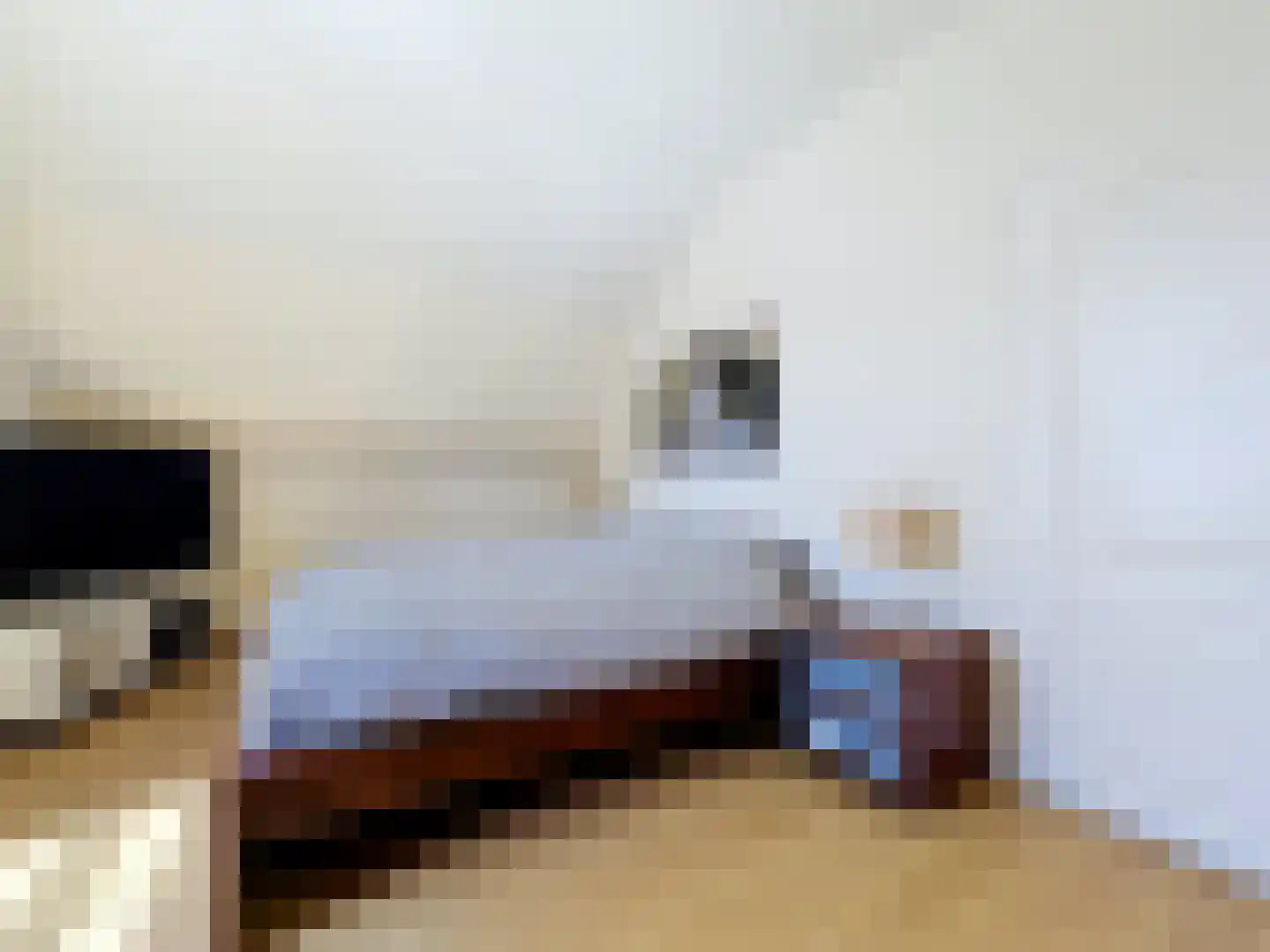Nieuwvlietseweg 47 Nieuwvliet thumbnail 17