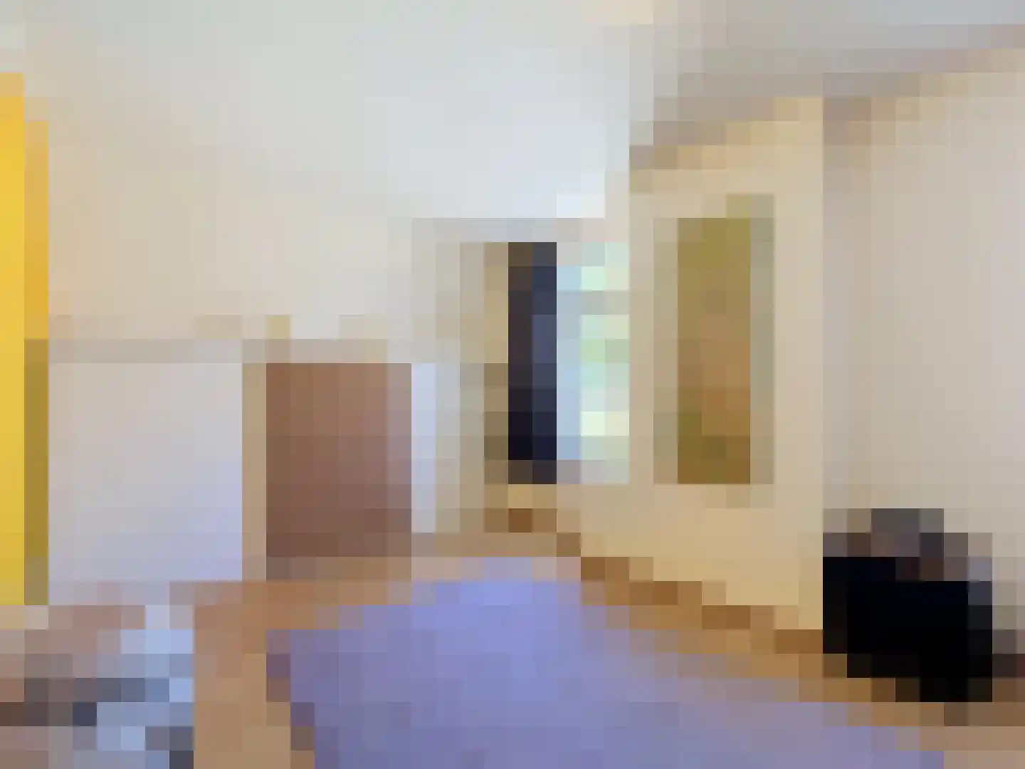 Nieuwvlietseweg 47 Nieuwvliet thumbnail 20