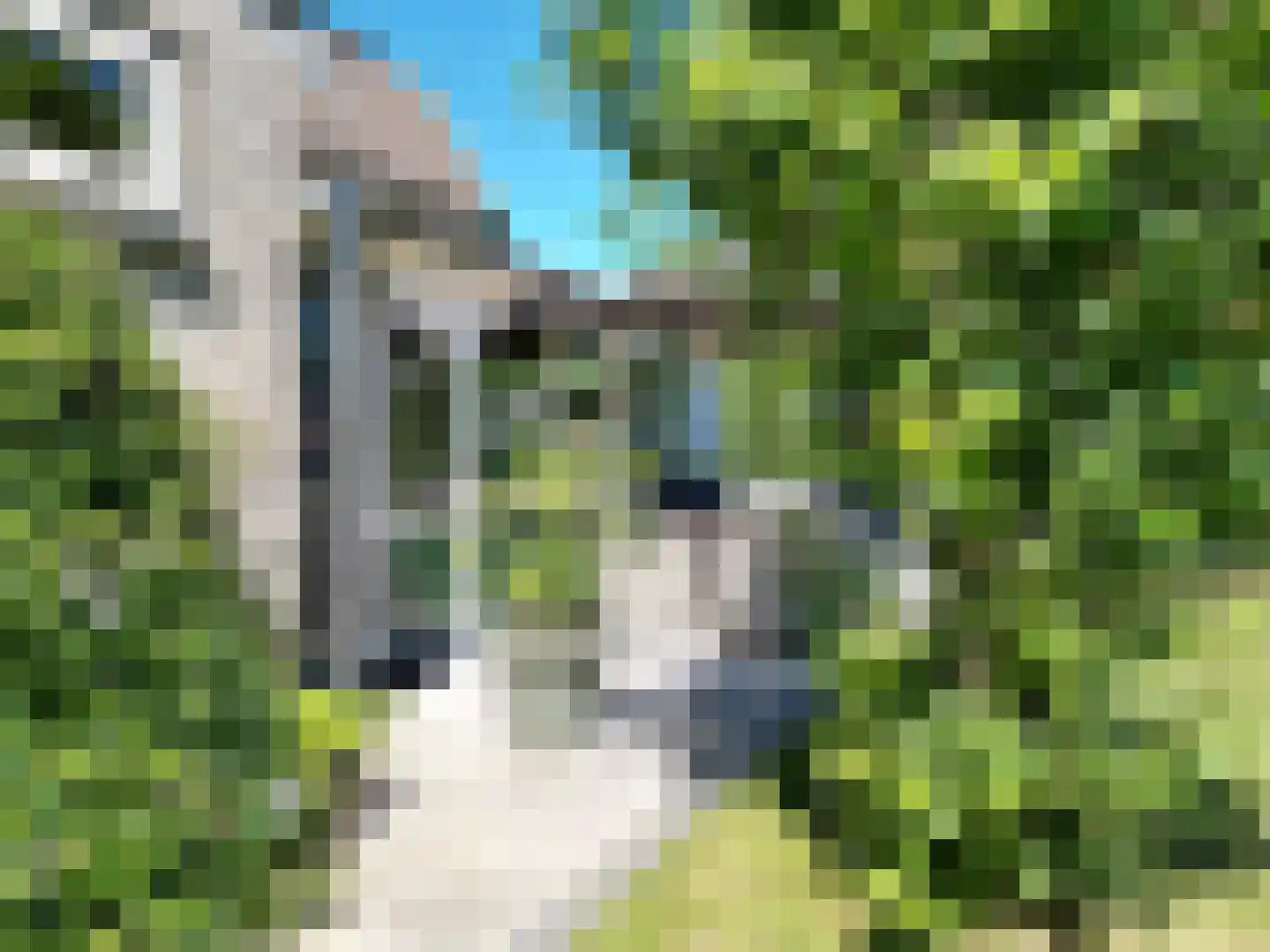 Nieuwvlietseweg 47 Nieuwvliet thumbnail 26