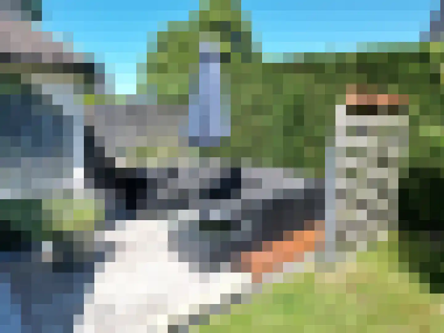 Nieuwvlietseweg 47 Nieuwvliet thumbnail 27