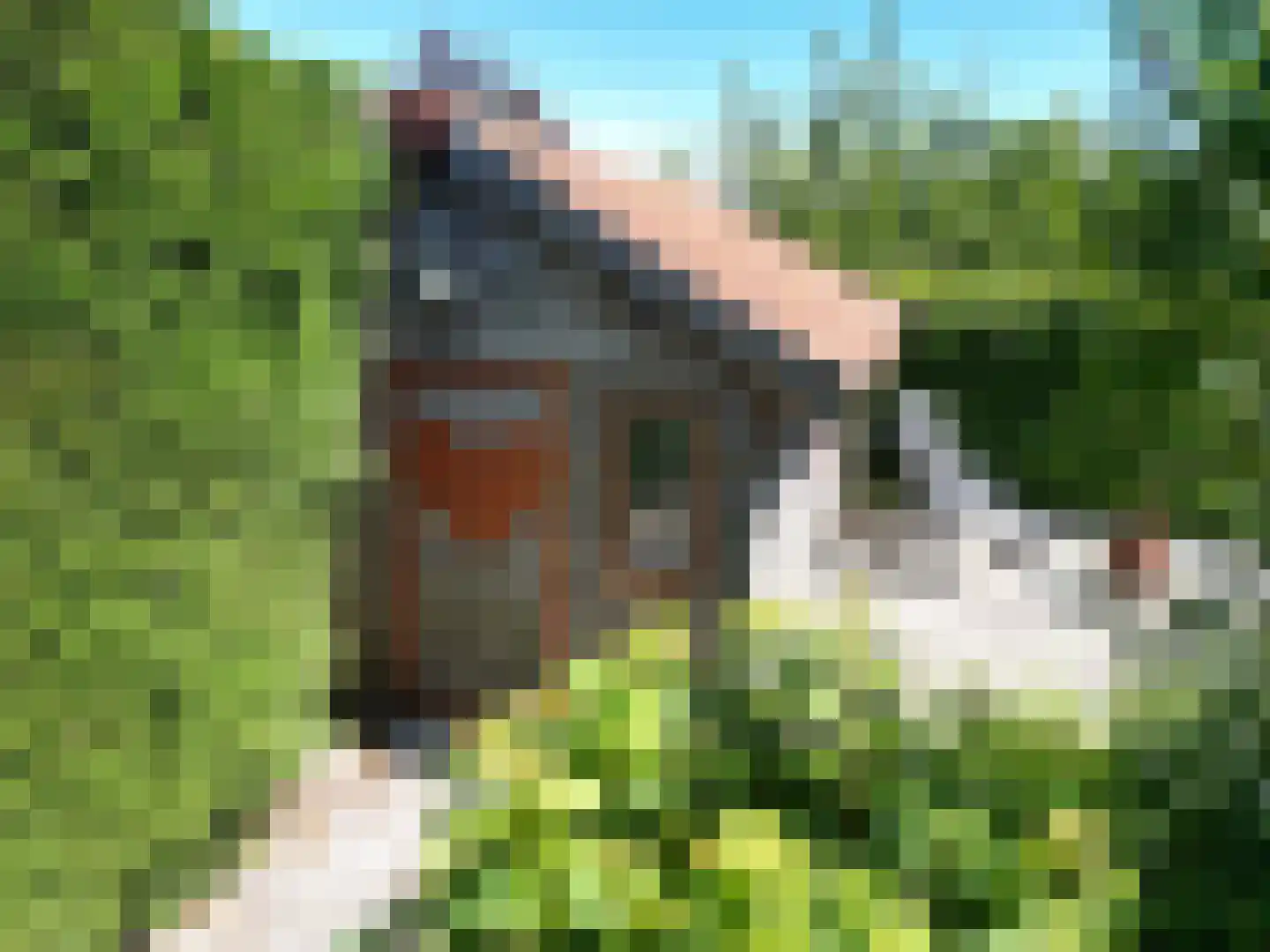 Nieuwvlietseweg 47 Nieuwvliet thumbnail 31