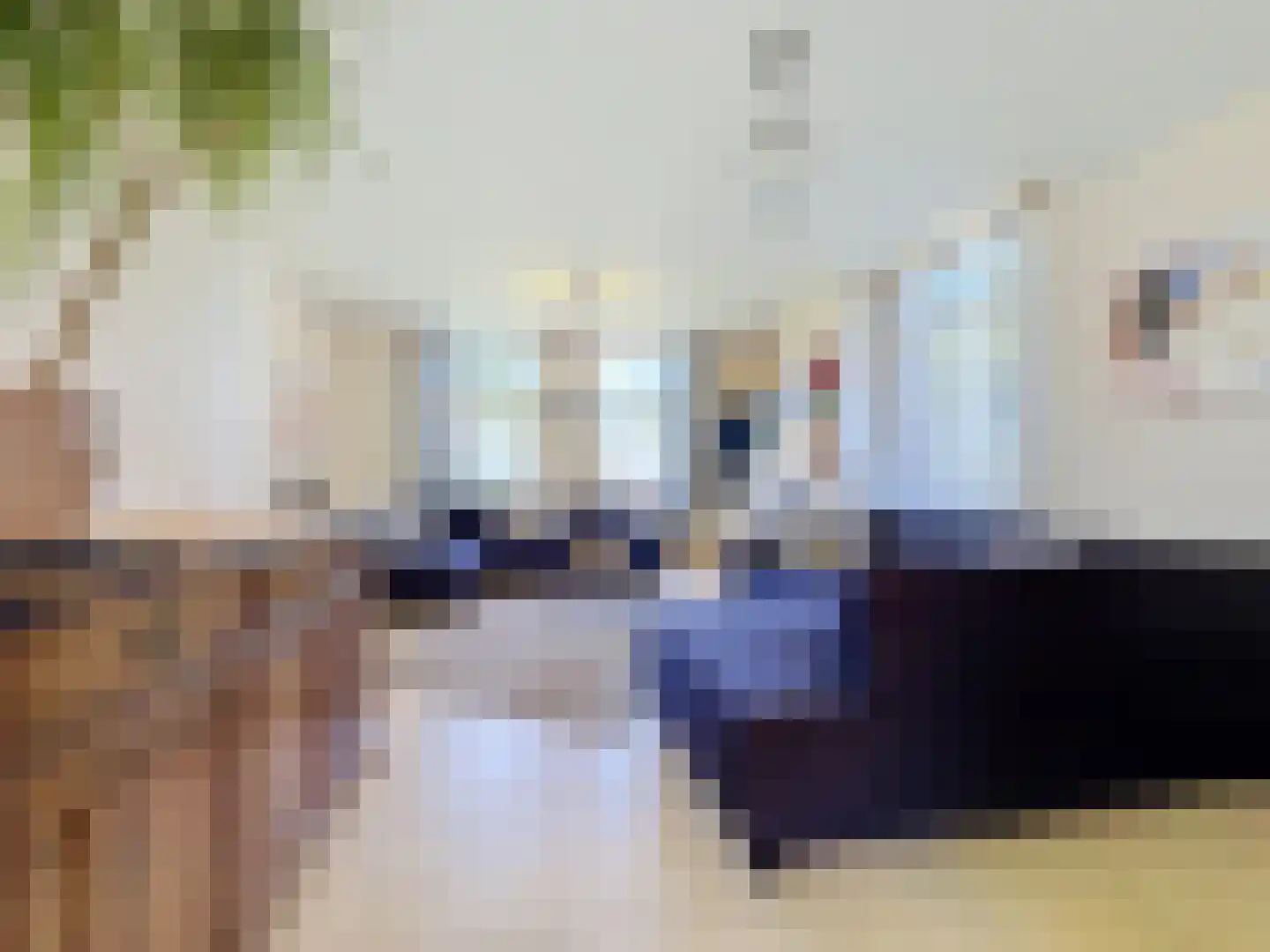 Nieuwvlietseweg 47 Nieuwvliet thumbnail 4
