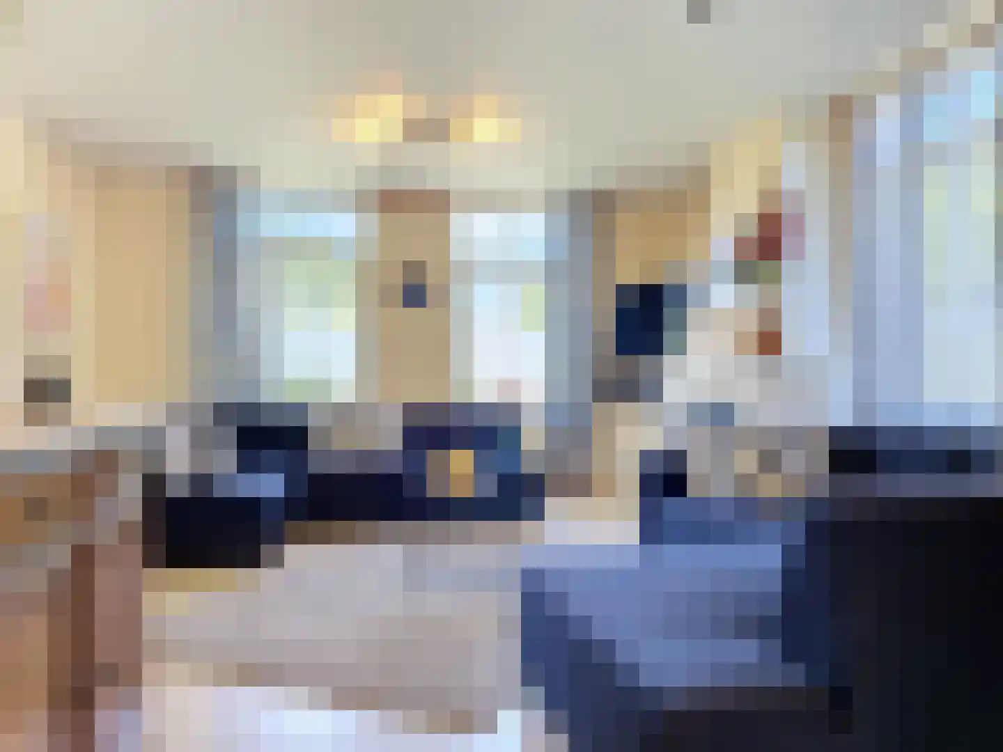 Nieuwvlietseweg 47 Nieuwvliet thumbnail 5