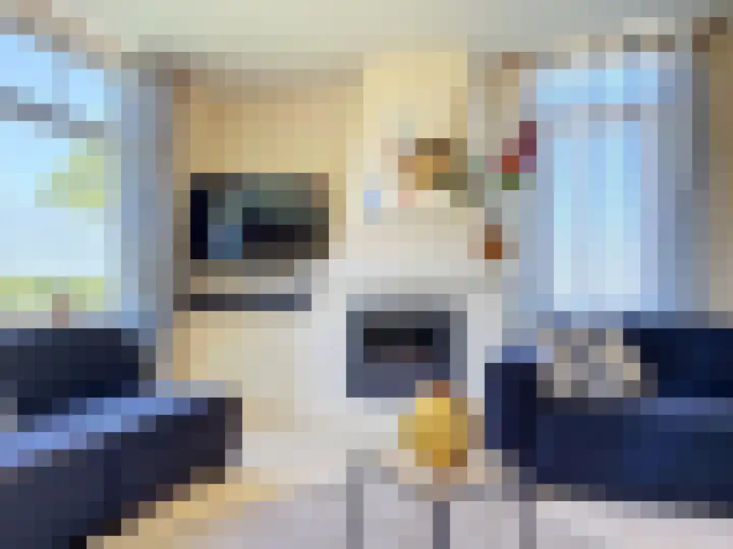Nieuwvlietseweg 47 Nieuwvliet thumbnail 7