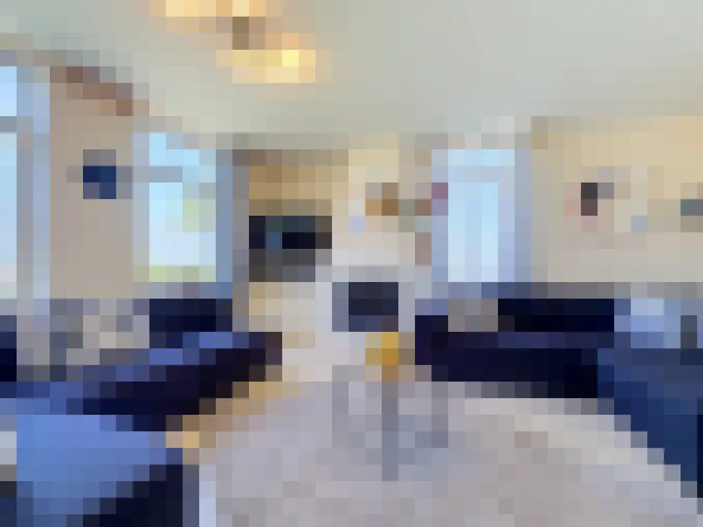 Nieuwvlietseweg 47 Nieuwvliet thumbnail 8