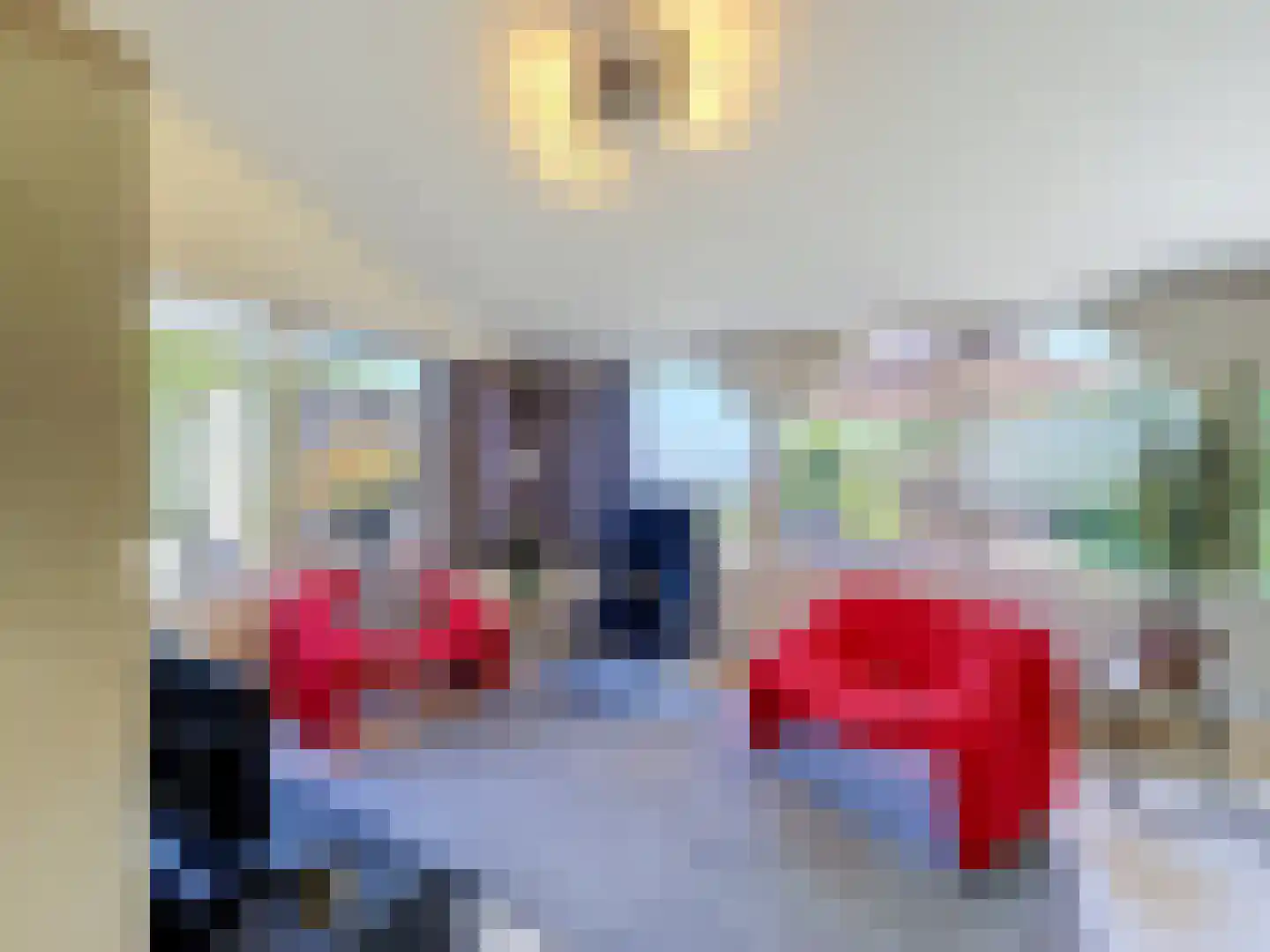 Nieuwvlietseweg 47 Nieuwvliet thumbnail 9