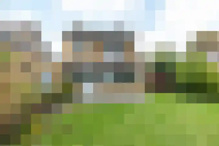 Nieuwwijkstraat 19 Schinveld thumbnail 29