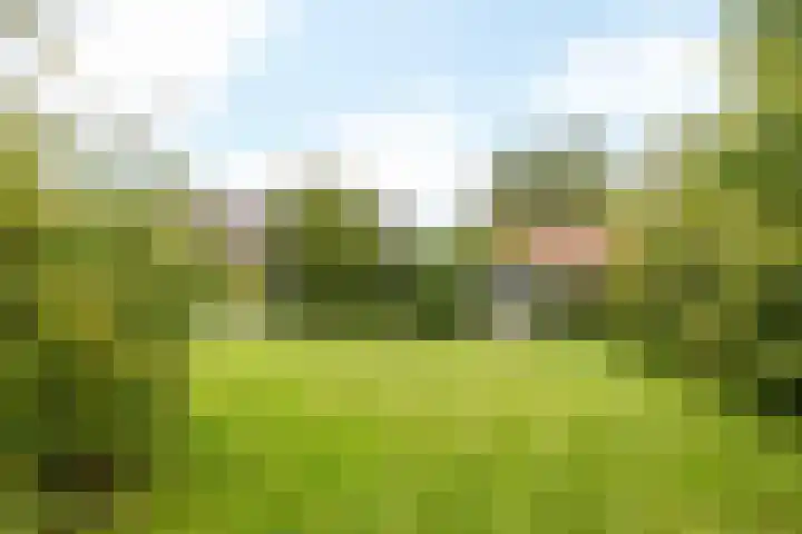 Nieuwwijkstraat 19 Schinveld thumbnail 30