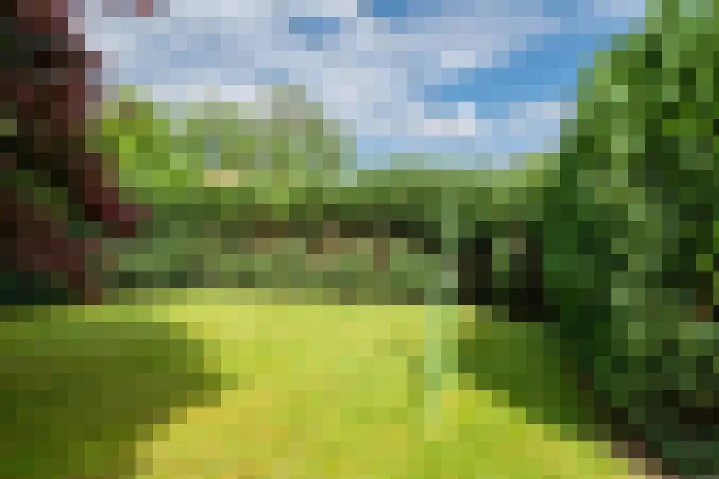 Nieuwwijkstraat 21 Schinveld thumbnail 25