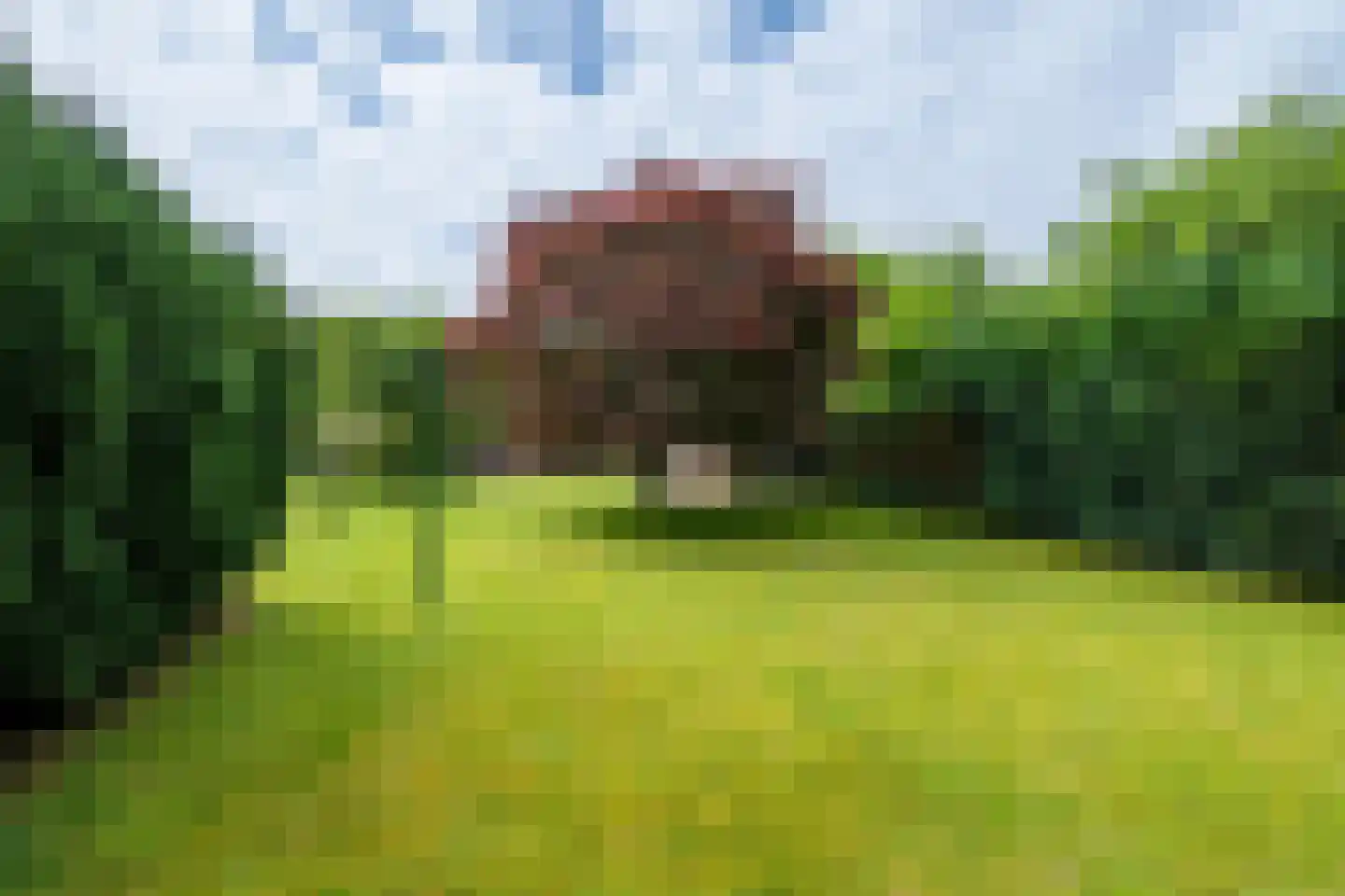 Nieuwwijkstraat 21 Schinveld thumbnail 26