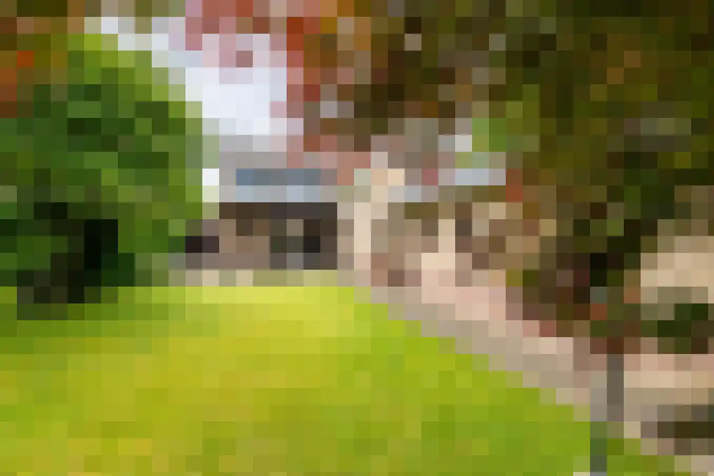Nieuwwijkstraat 21 Schinveld thumbnail 27