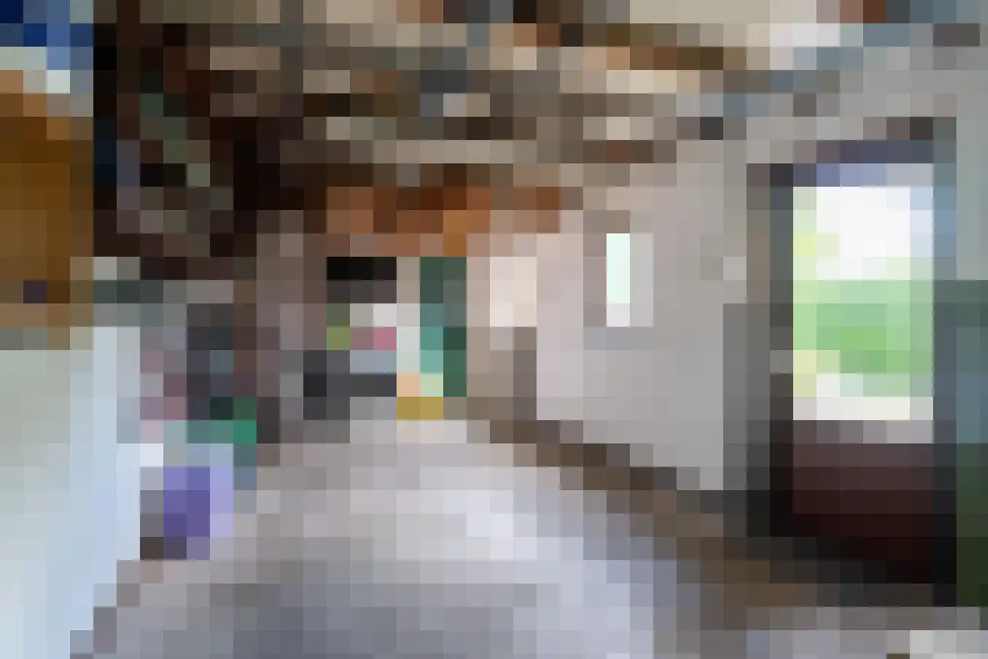 Nieuwwijkstraat 21 Schinveld thumbnail 30