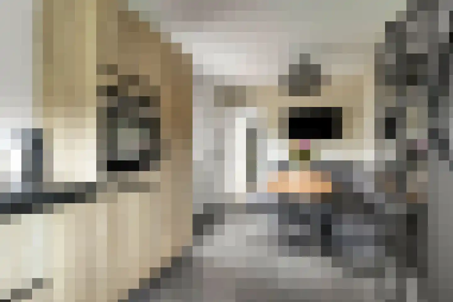 Nieuwwijkstraat 27 Heijen thumbnail 15