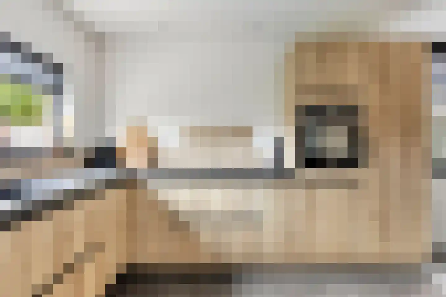 Nieuwwijkstraat 27 Heijen thumbnail 17
