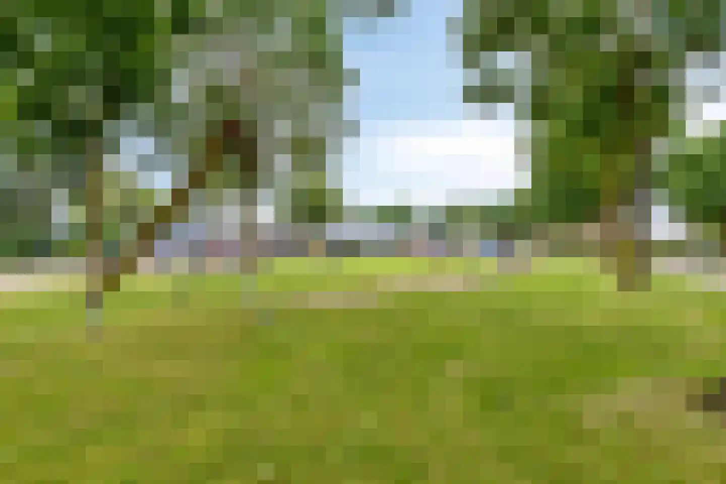 Nieuwwijkstraat 27 Heijen thumbnail 46