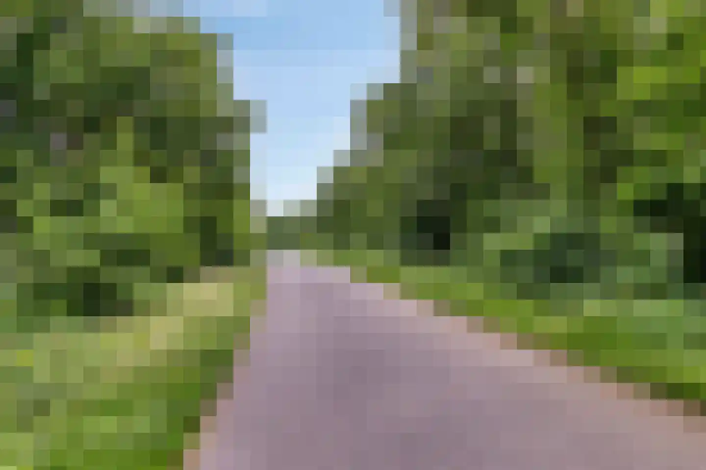 Nieuwwijkstraat 27 Heijen thumbnail 47