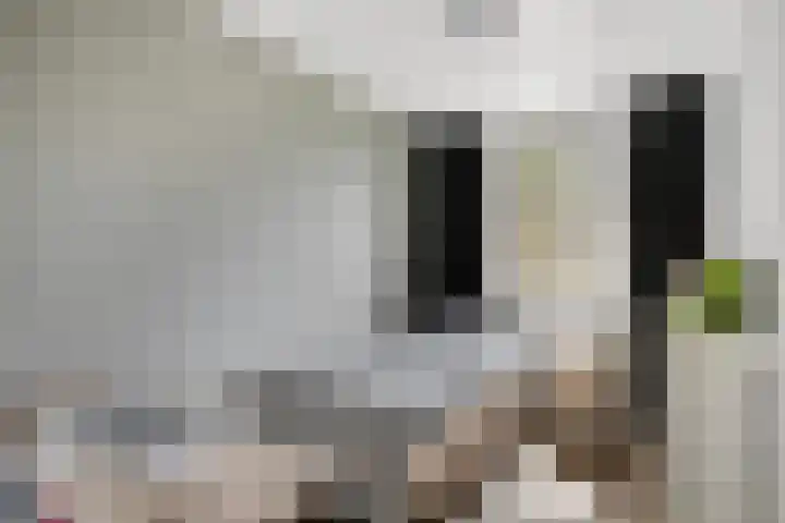 Nieuwwijkstraat 54 Heijen thumbnail 25