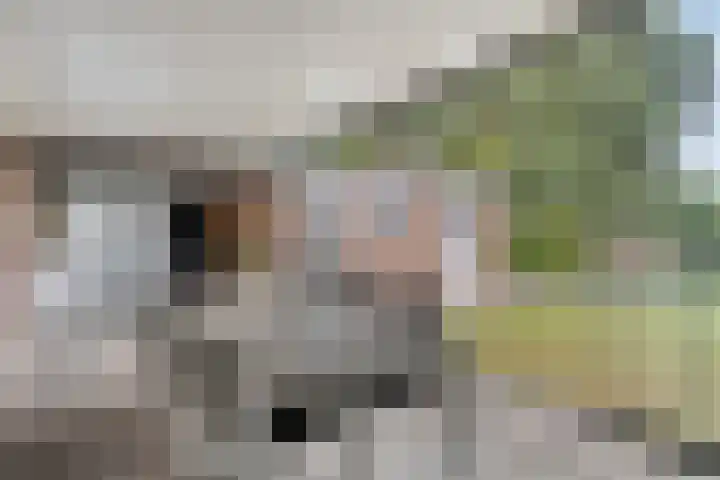Nieuwwijkstraat 54 Heijen thumbnail 35