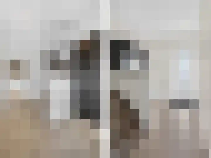 Nieuwwijkstraat 9 Schinveld thumbnail 4