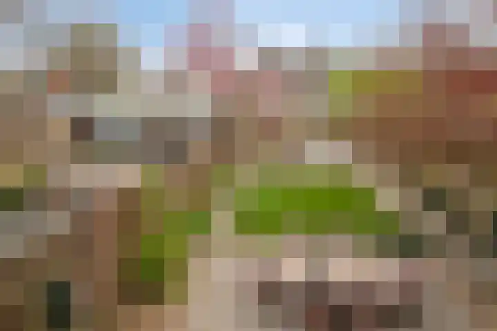 Niftarlakestraat 14 Breukelen thumbnail 19