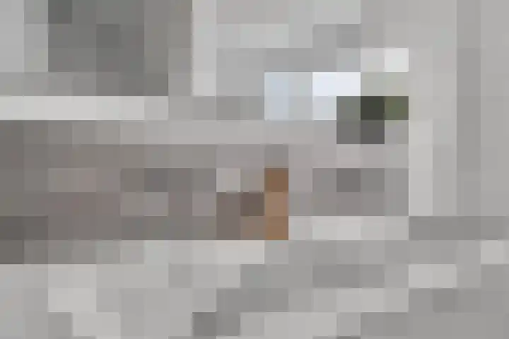 Niftarlakestraat 14 Breukelen thumbnail 23