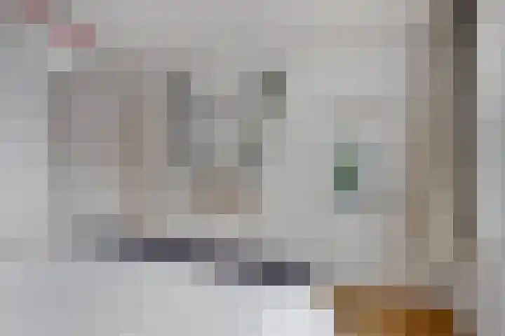 Niftarlakestraat 14 Breukelen thumbnail 25