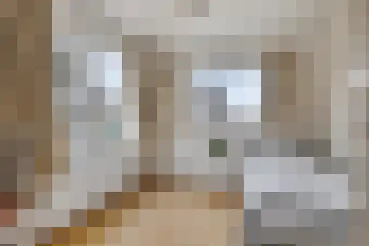 Niftarlakestraat 14 Breukelen thumbnail 26