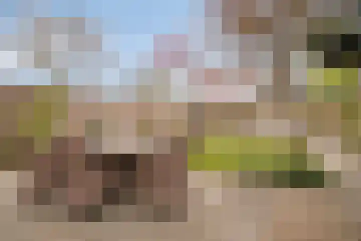 Niftarlakestraat 14 Breukelen thumbnail 33