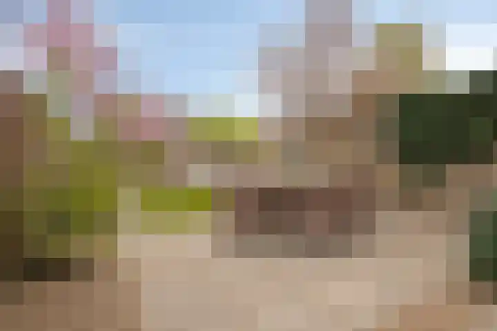 Niftarlakestraat 14 Breukelen thumbnail 34