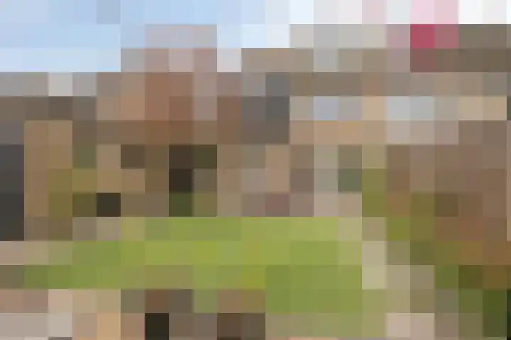 Niftarlakestraat 14 Breukelen thumbnail 36