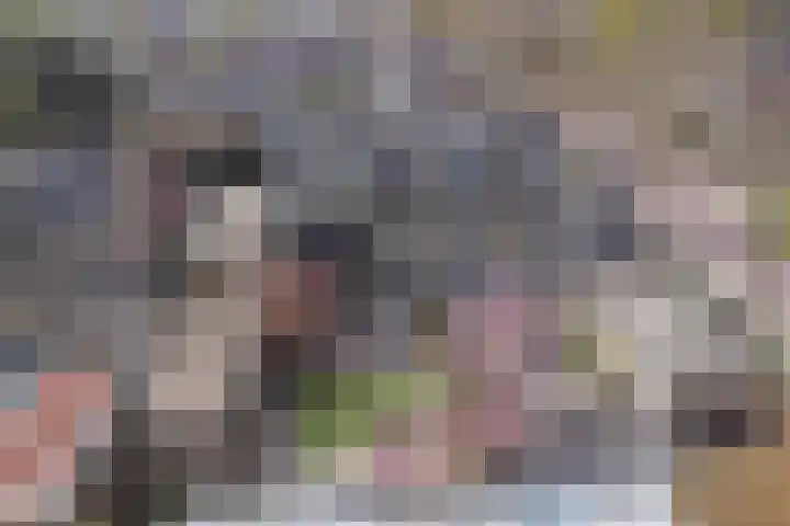 Niftarlakestraat 14 Breukelen thumbnail 38