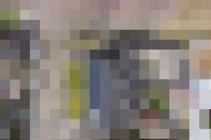 Niftarlakestraat 14 Breukelen thumbnail 39