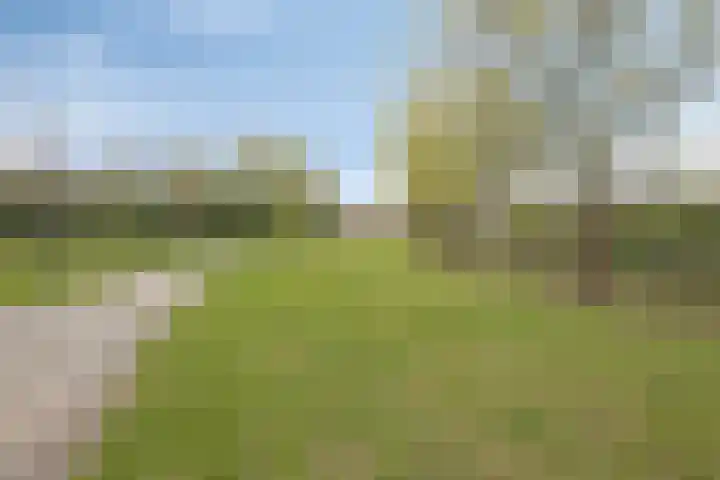 Niftarlakestraat 14 Breukelen thumbnail 48